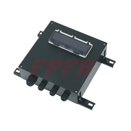 FXM(D)-Explosion proof corrosion illumination(power)distribution box